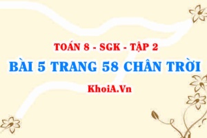 Bài 5 trang 58 Toán 8 Chân trời sáng tạo Tập 2